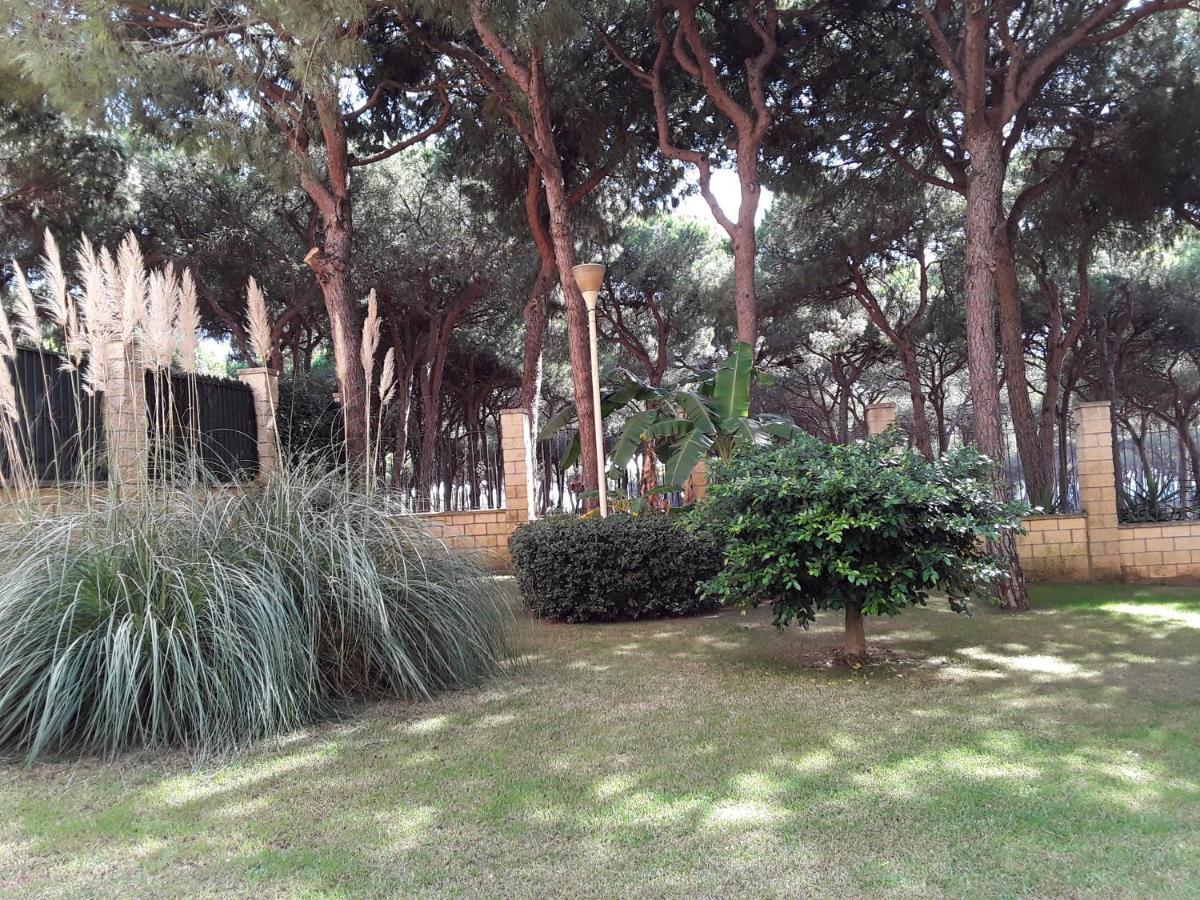Apartemen Sunny- Homes Vi,playa, Calahonda 350 M Playa